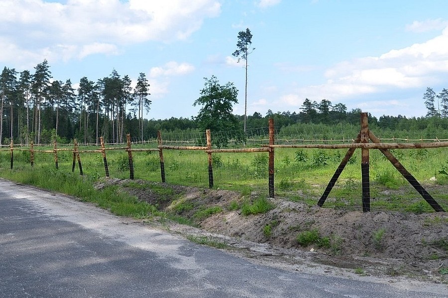 ogrodzenia leśne